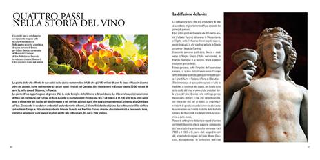 Manuale del sommelier - Nicola Bonera - 3