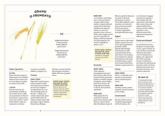 Tutta l'Italia del pane - Fulvio Marino - 3